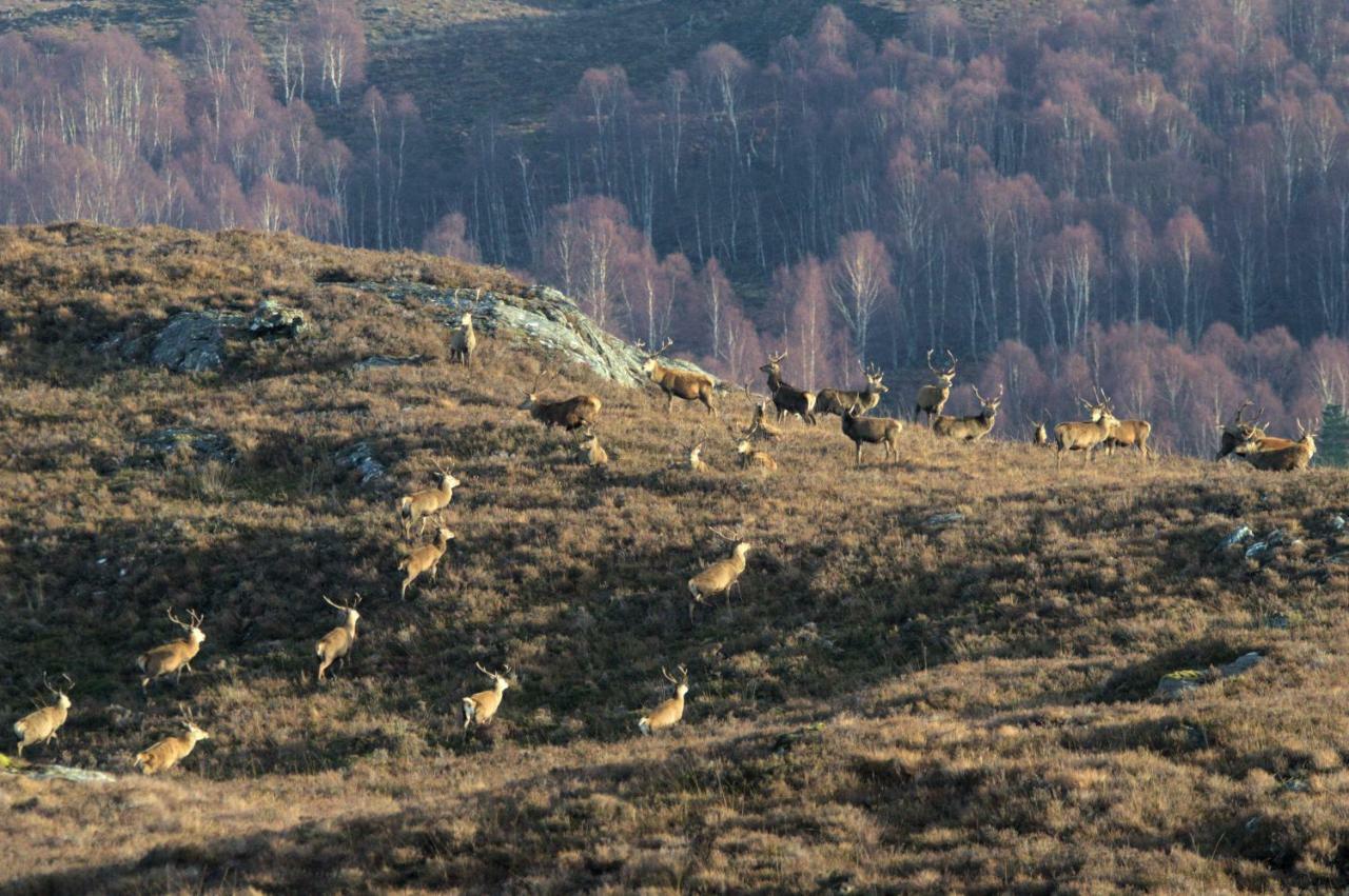 Rosemount Cottage One- Highland Cottage Garve Bagian luar foto